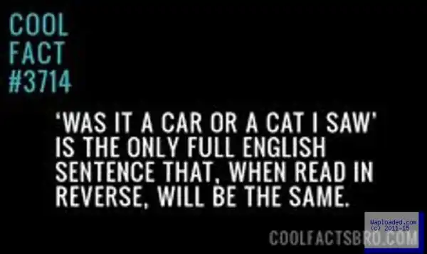 See The Only English Sentence That When Read In Reverse Will Still Be The Same